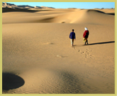 Sands at the edge of the Tenere desert, Air and Tenere Natural Reserves world heritage site - Niger