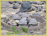 Homesteads are typically built behind a high stone enclosure wall in the Sukur Cultural Landscape UNESCO world heritage site in the Mandara Mountains near Maidaguri (Nigeria)