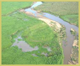 The northern white rhino and other large mammals of Garambe National Park world heritage site have suffered serious poaching, most effectively countered through aerial surveillance