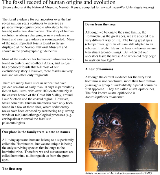 Photographic Guide to human evolution and key hominin fossils discovered at sites across Africa (14-page downloadable pdf document)