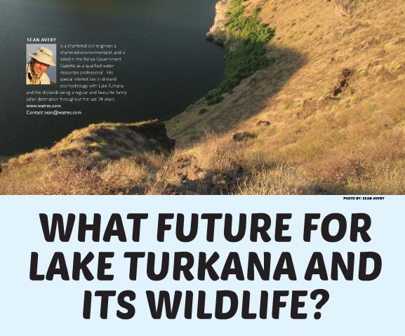 Lake Turkana Threatened by Dam Construction and Irrigated Agriculture