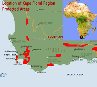 Map showing the location of the serial components of the Cape Floral Region Protected Areas world heritage site (South Africa) following its extension in 2015