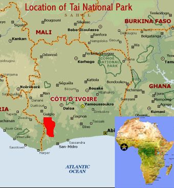 Map showing the location of Tai National Park world heritage site in Ivory Coast