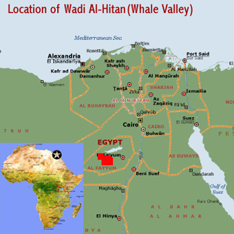 Map showing the location of the Wadi Al Hitan (Whale Valley) world heritage site in the western deserts of Egypt