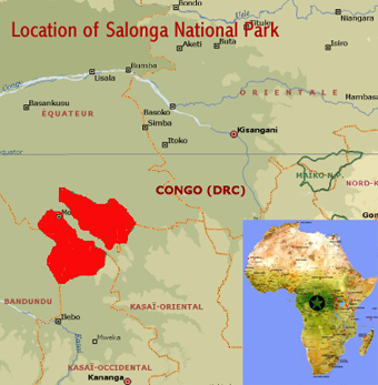 Map showing the location of Salonga National Park world heritage site in the heart of the Congo Basin rainforests, Democratic Republic of Congo 