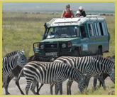 The Ngorongoro Crater is one of Africa's premier wildlife attractions with tourists gauranteed close encounters with wildlife while on safari in the world heritaghe site