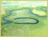 Rivers channels and ox-bow lakes are key features of the permanent swamps in the Okavango Delta world heritage site (Botswana)