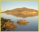 View across the wetlands and lake towards Djebel Ichkeul in the Lake Ichkeul National Park world heritage site, Tunisia