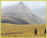 Grasslands are characteristic of the upper slopes of the Mount Nimba Strict Nature Reserve world heritage site in Guinea and Ivory Coast