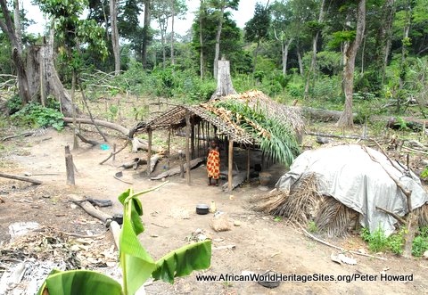 Pioneer settlers in the Okapi Wildlife Reserve world heritage site