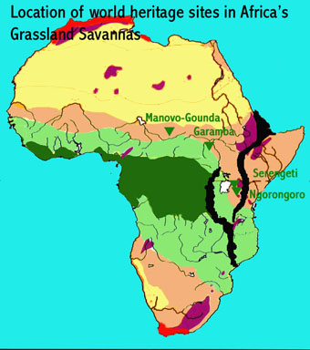 Map showing the locations of the four UNESCO-designated natural world heritage sites in Africa's savannas, namely the Garamba, Serengeti and Manovo-Gounda St Floris National Parks and Ngorongoro Conservation Area