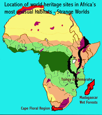 Map showing the location of the three UNESCO-designated natural world heritage sites in South Africa and Madagascar that are characterised by their unique ecology, namely Cape Floral Region Protected Areas, Rainforests of the Atsinanana, and Tsingy de Bemaraha Reserve