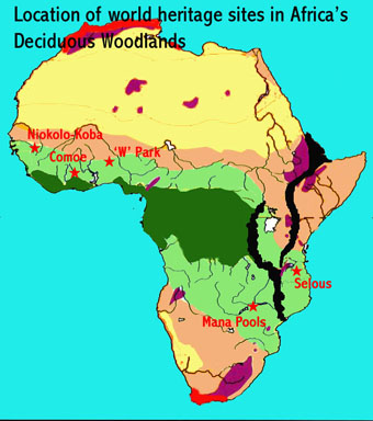 Map showing the location of world heritage sites in Africa's deciduous woodlands, namely the Niokola Koba (Senegal), Comoe (Ivory Coast), W (Niger), and Mana Pools (Zimbabwe) National Parks and Selous Game Reserve world heritage sites