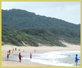 The iSimangaliso wetland park world heritage site encompasses the shoreline and forested dunes for more than 170km between St Lucia through Cape Vidal and Sodwana Bay to Kosi Bay.  Fishing, boating, diving and other watersports are popular tourist acivities, while wildlife viewing opportunities abound inshore.