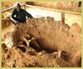 The upturned carapace of an enormous tortoise, one of the more remarkable fossil discoveries at Sibiloi National Park in the Lake Turkana world heritage site, Kenya