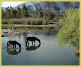 Present-day pastoral scene at the world’s largest and oldest meteorite impact event at Vredefort Dome world heritage site, South Africa