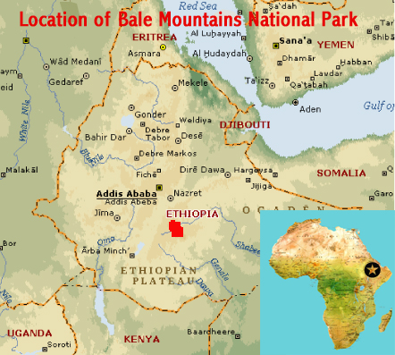 Map showing the location of Bale Mountains National Park (Ethiopia), a potential World Heritage Site