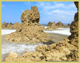 Giant calcareous chimneys, some as much as 50m high create an other-worldly landscape at Lake Abbe at the southern end of the Danakil Depression (Djibouti) 