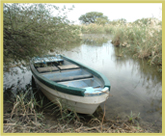 The Djoudj national bird sanctuary world heritage site covers an extensive area of floodplain of the Senegal river estuary, and is used as an overwintering site by Palaearctic migrant waterfowl 