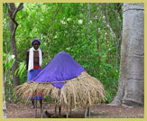 Shrine house and Kaya elder inside one of the Rabai group of sacred coastal forests (part of the Sacred Mijikenda Kaya Forests UNESCO world heritage site near Mombasa, Kenya)