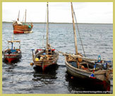 Traditional Arab sailing dhows shelter in the harbour at the Old Swahili coastal Town of Lamu (a UNESCO world heritage site on Lamu Island, Kenya)