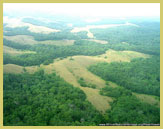 Aerial view of the Ecosystem and Relict cultural landscape of Lope-Okanda UNESCO world heritage site, Gabon (Central Africa)