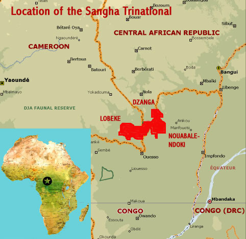 Map showing the location of the Sangha Trinational world heritage site (Nouabale-Ndoki National Park in Congo, Dzanga-Ndoki N.P. in Central African Republic and Lobeke N.P. in Cameroon)