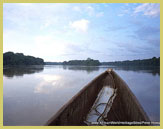 Dugout canoes provide the main means of transport in the Sangha Trinational UNESCO world heritage site