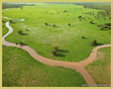 Flooded grasslands of the upper Nile in South Sudan