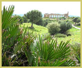 View across the Archaeological Site of Volubilis (UNESCO world heritage site) a commercial town at the frontier of the Roman Empire in Morocco (north Africa)